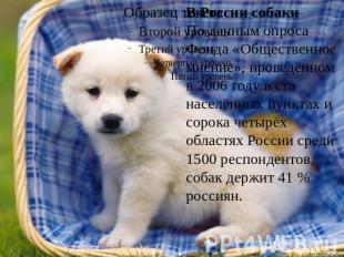 В России собаки По данным опроса Фонда «Общественное мнение», проведённом в 2006