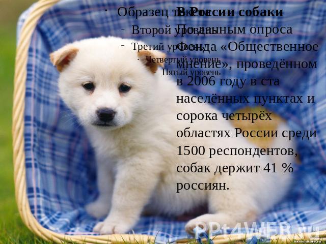 В России собаки По данным опроса Фонда «Общественное мнение», проведённом в 2006 году в ста населённых пунктах и сорока четырёх областях России среди 1500 респондентов, собак держит 41 % россиян.