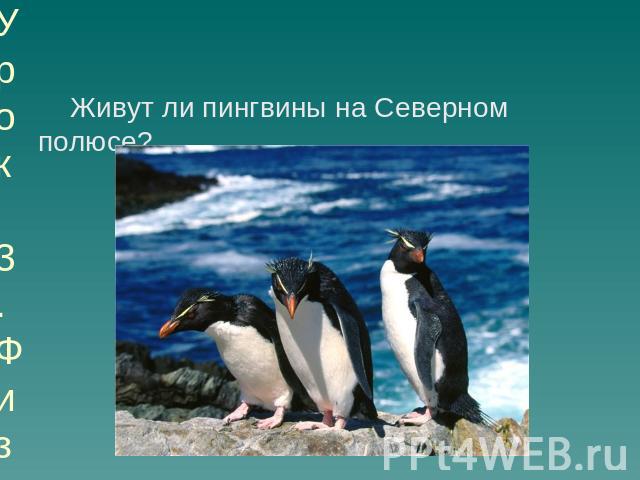 Урок 3. Физкультура Живут ли пингвины на Северном полюсе?