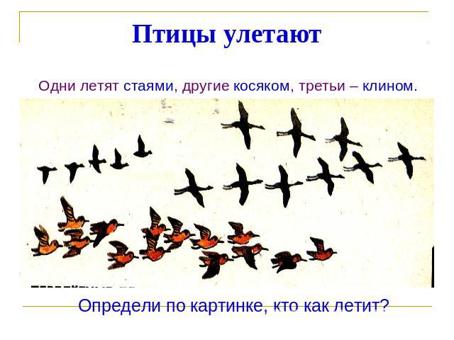 Птицы улетают Одни летят стаями, другие косяком, третьи – клином. Определи по картинке, кто как летит?