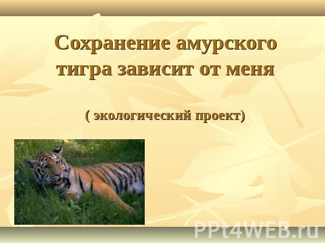 Сохранение амурского тигра зависит от меня( экологический проект)
