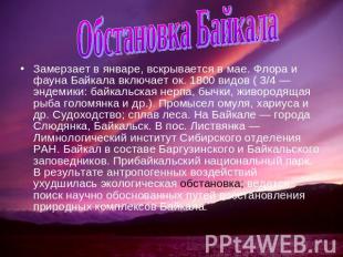 Обстановка Байкала Замерзает в январе, вскрывается в мае. Флора и фауна Байкала