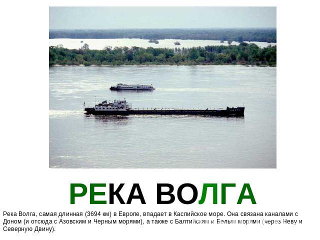РЕКА ВОЛГА Река Волга, самая длинная (3694 км) в Европе, впадает в Каспийское море. Она связана каналами с Доном (и отсюда с Азовским и Черным морями), а также с Балтийским и Белым морями (через Неву и Северную Двину).