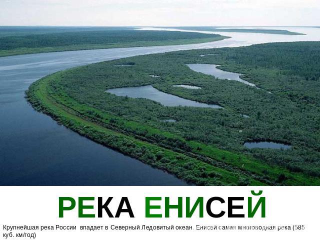 РЕКА ЕНИСЕЙ Крупнейшая река России впадает в Северный Ледовитый океан. Енисей самая многоводная река (585 куб. км/год)