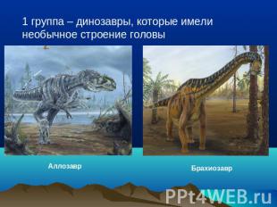 1 группа – динозавры, которые имели необычное строение головы