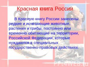 Красная книга России В Красную книгу России занесены редкие и исчезающие животны