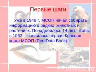 Первые шаги Уже в 1949 г. МСОП начал собирать информацию о редких  животных и ра