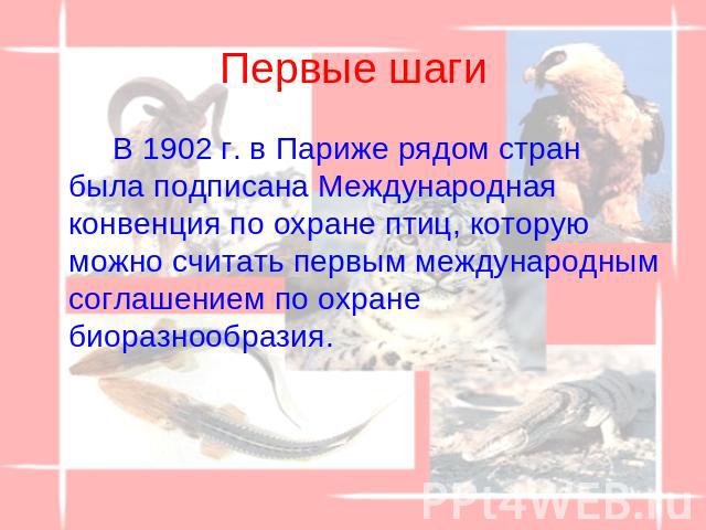 Первые шаги В 1902 г. в Париже рядом стран была подписана Международная конвенция по охране птиц, которую можно считать первым международным соглашением по охране биоразнообразия.