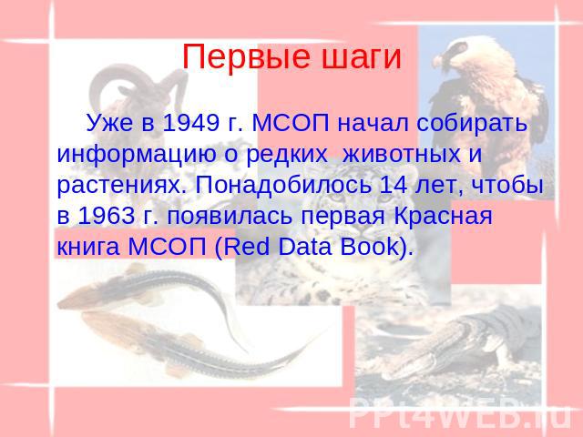 Первые шаги Уже в 1949 г. МСОП начал собирать информацию о редких  животных и растениях. Понадобилось 14 лет, чтобы в 1963 г. появилась первая Красная книга МСОП (Red Data Book).