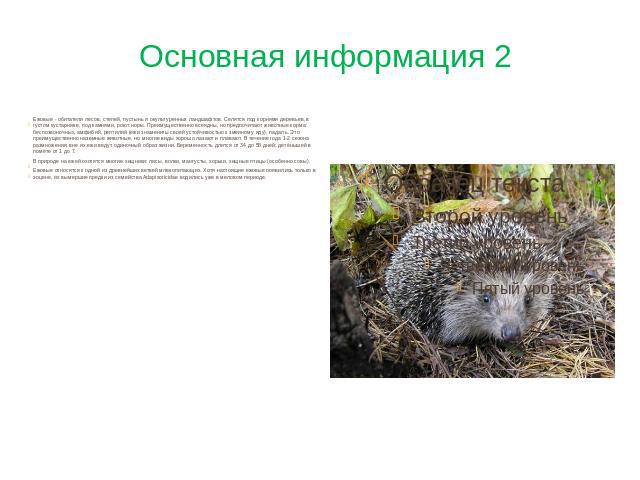 Реферат: Абиотические процессы и животные республики Татарстан
