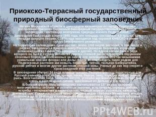 Приокско-Террасный государственный природный биосферный заповедник На юге Москов