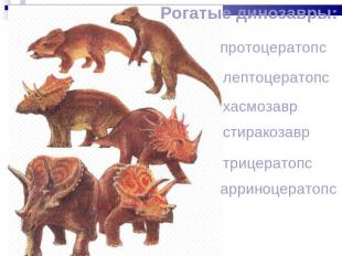 Рогатые динозавры: протоцератопс лептоцератопс хасмозавр стиракозавр трицератопс