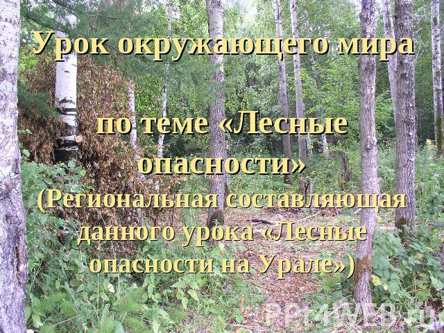 Урок окружающего мира по теме «Лесные опасности»(Региональная составляющаяданного урока «Лесные опасности на Урале»)