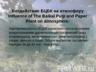 Воздействие БЦБК на атмосферу Influence of The Baikal Pulp and Paper Plant on at