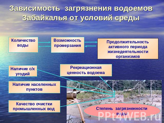 Зависимость загрязнения водоемов Забайкалья от условий среды Продолжительность активного периода жизнедеятельности организмов Рекреационная ценность водоема Возможность промерзания Количество воды Наличие с/х угодий Наличие населенных пунктов Качест…