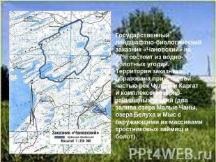 Государственный ландшафтно-биологический заказник «Чановский» на 77% состоит из