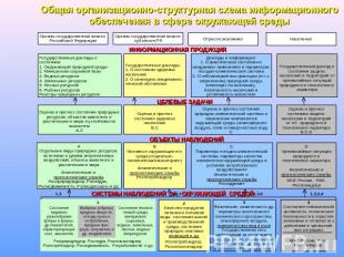 Общая организационно-структурная схема информационного обеспечения в сфере окруж