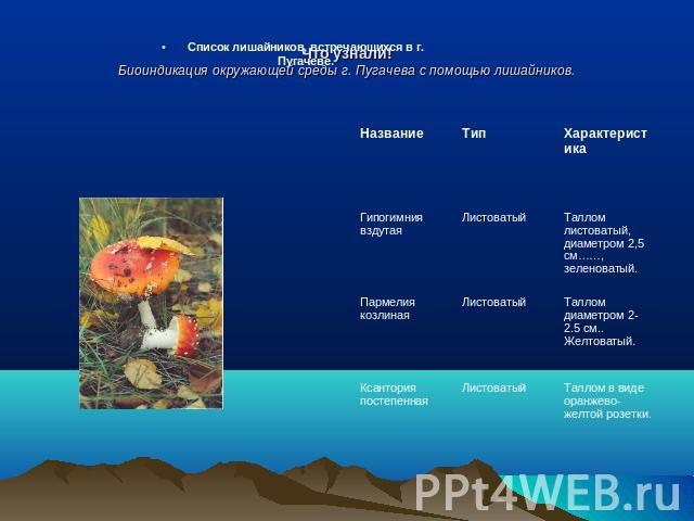 Список лишайников, встречающихся в г. Пугачеве.Что узнали!Биоиндикация окружающей среды г. Пугачева с помощью лишайников.