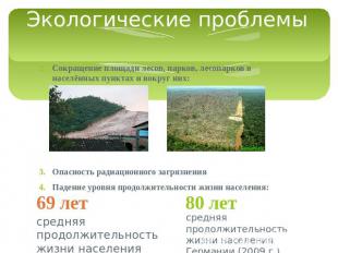 Экологические проблемы Сокращение площади лесов, парков, лесопарков в населённых
