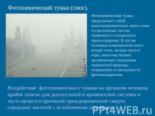 Фотохимический туман (смог). Фотохимический туман представляет собой многокомпон