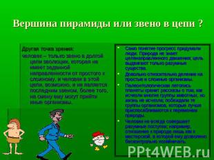 Вершина пирамиды или звено в цепи ? Другая точка зрения:человек – только звено в