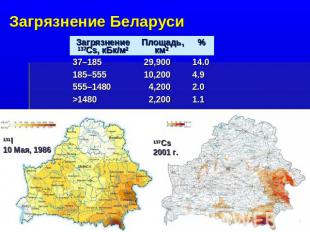 Загрязнение Беларуси
