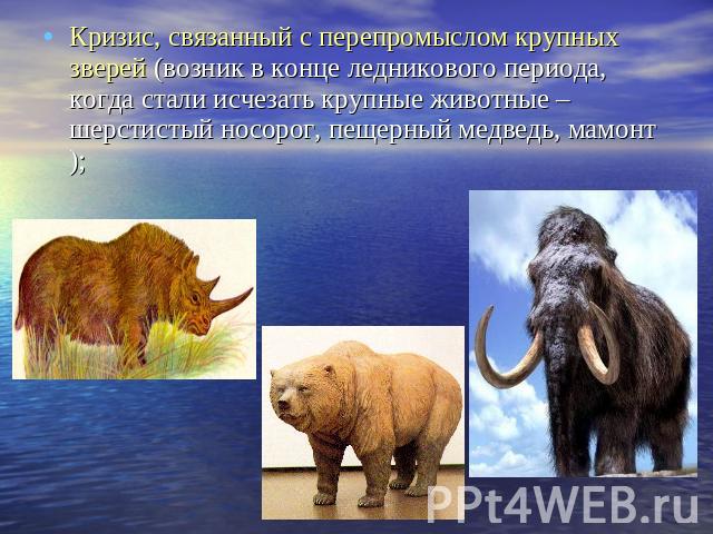Кризис, связанный с перепромыслом крупных зверей (возник в конце ледникового периода, когда стали исчезать крупные животные – шерстистый носорог, пещерный медведь, мамонт);