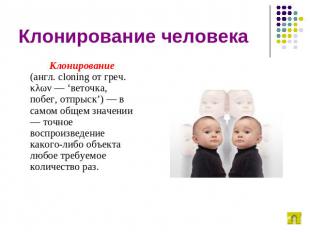Клонирование человека Клонирование (англ. cloning от греч. κλων — ‘веточка, побе