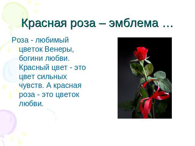 Красная роза – эмблема … Роза - любимый цветок Венеры, богини любви. Красный цвет - это цвет сильных чувств. А красная роза - это цветок любви.
