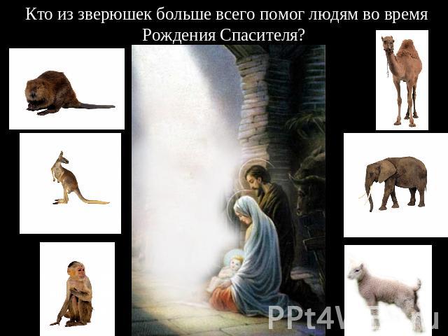Кто из зверюшек больше всего помог людям во время Рождения Спасителя?