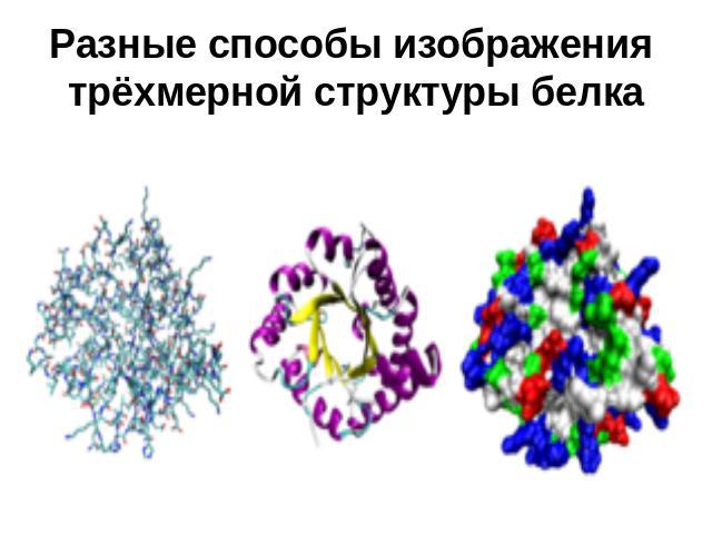 Разные способы изображения трёхмерной структуры белка