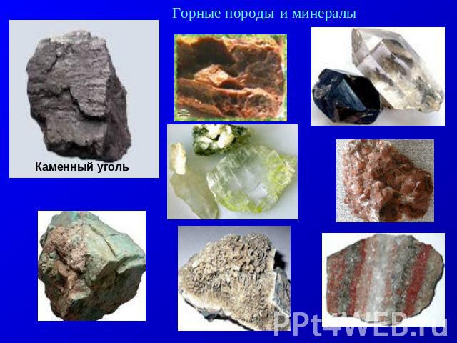 Горные породы и минералы Каменный уголь