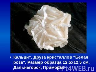 Кальцит. Друза кристаллов "Белая роза". Размер образца 12,5х12,5 см. Дальнегорск