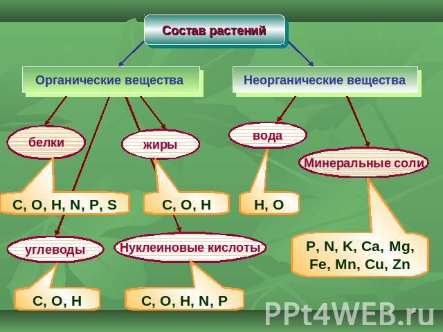 Состав растений Органические вещества Неорганические вещества