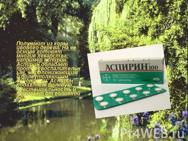 салициловая кислтота Получают из коры ивового дерева. На ее основе готовят многие лекарства: например аспирин. Аспирин обладает противовоспалительным, жаропонижающим и болеутоляющим действием. Аспирин подавляет болевую чувствительность и помогает от…