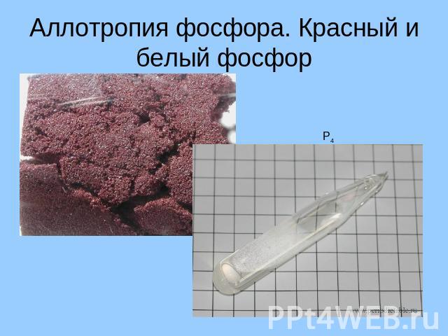 Аллотропия фосфора. Красный и белый фосфор