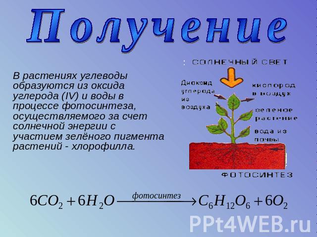 Получение В растениях углеводы образуются из оксида углерода (IV) и воды в процессе фотосинтеза, осуществляемого за счет солнечной энергии с участием зелёного пигмента растений - хлорофилла.