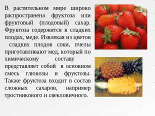 В растительном мире широко распространена фруктоза или фруктовый (плодовый) саха