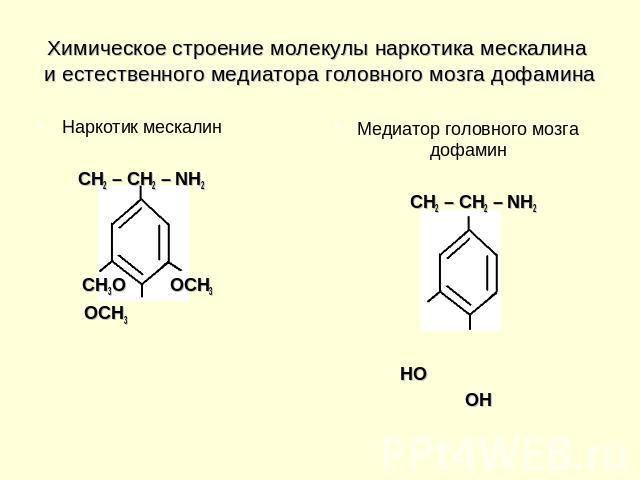 Химическое строение молекулы наркотика мескалина и естественного медиатора головного мозга дофамина