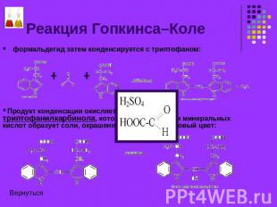 Реакция Гопкинса–Коле Продукт конденсации окисляется до бис-2-триптофанилкарбино