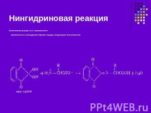 Нингидриновая реакция Качественная реакция на -аминокислоты Аминокислота с нинги