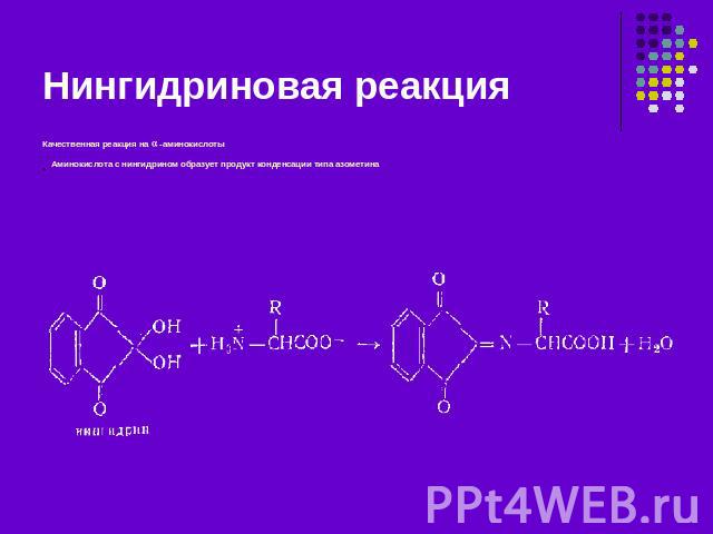 Нингидриновая реакция Качественная реакция на -аминокислоты Аминокислота с нингидрином образует продукт конденсации типа азометина