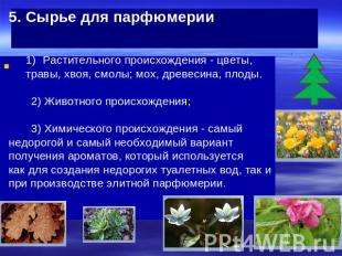 5. Сырье для парфюмерии Растительного происхождения - цветы, травы, хвоя, смолы;