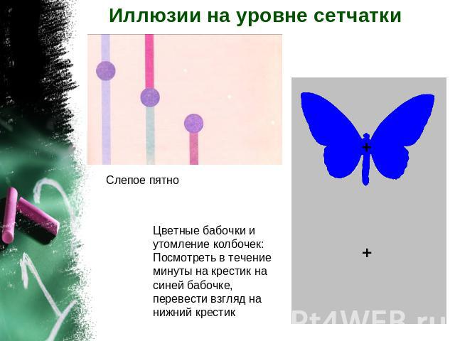 Иллюзии на уровне сетчатки Цветные бабочки и утомление колбочек: Посмотреть в течение минуты на крестик на синей бабочке, перевести взгляд на нижний крестик