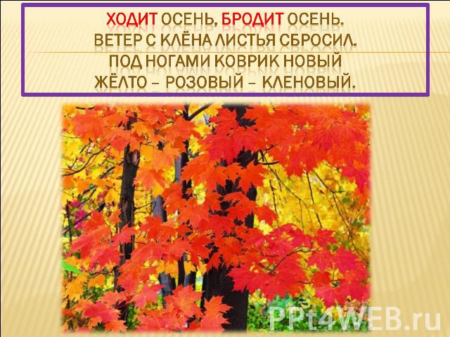Ходит осень, бродит осень. Ветер с клёна листья сбросил. Под ногами коврик новый Жёлто – розовый – кленовый.