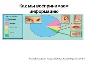 Как мы воспринимаем информацию Плакаты 5 класс, Босова, Макарова, http://school.