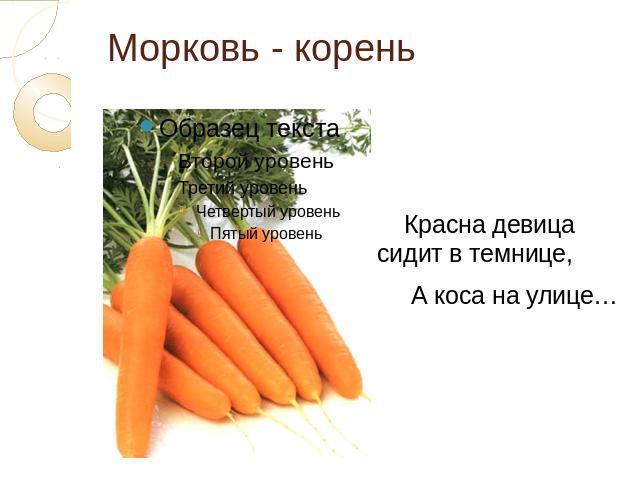 Морковь - корень Красна девица сидит в темнице, А коса на улице…