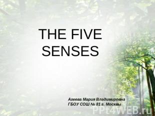 The five senses Агеева Мария ВладимировнаГБОУ СОШ № 81 г. Москвы