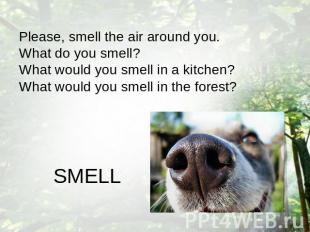 Please, smell the air around you. What do you smell? What would you smell in a k