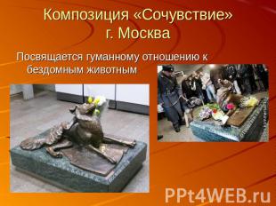 Композиция «Сочувствие»г. МоскваПосвящается гуманному отношению к бездомным живо